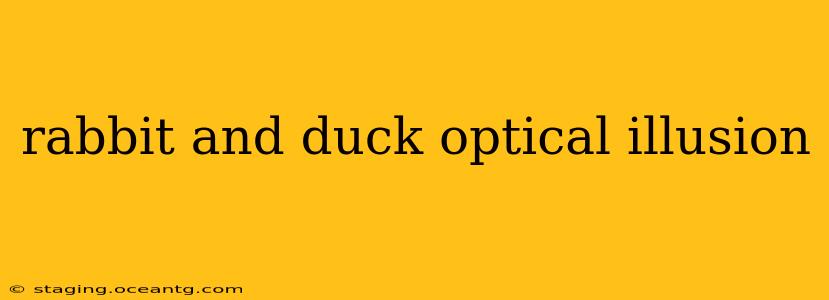 rabbit and duck optical illusion