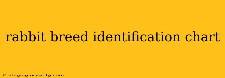 rabbit breed identification chart
