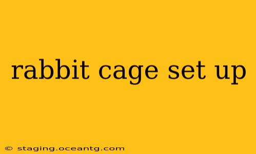 rabbit cage set up