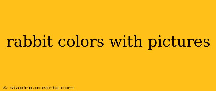 rabbit colors with pictures