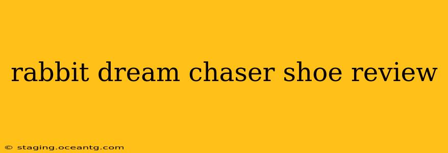 rabbit dream chaser shoe review