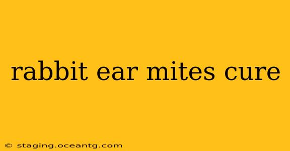 rabbit ear mites cure