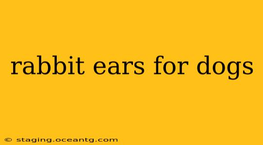 rabbit ears for dogs