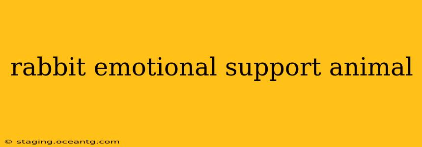 rabbit emotional support animal