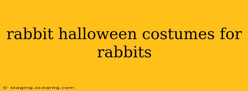 rabbit halloween costumes for rabbits