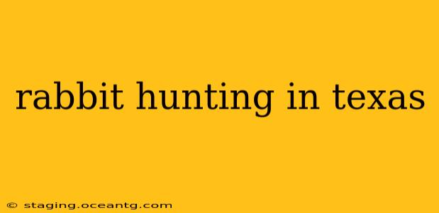 rabbit hunting in texas