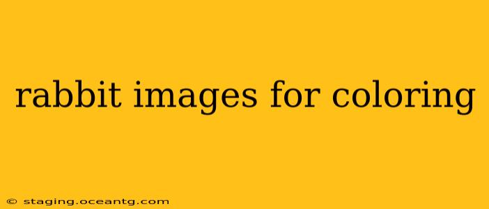rabbit images for coloring