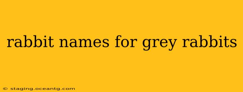 rabbit names for grey rabbits