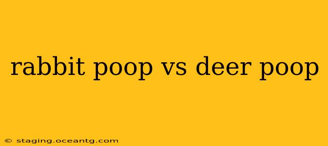 rabbit poop vs deer poop