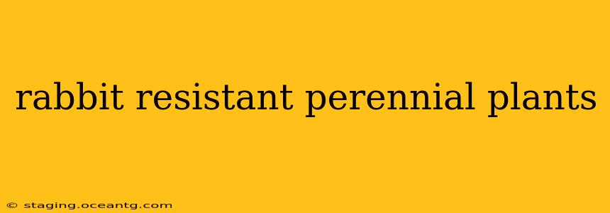 rabbit resistant perennial plants