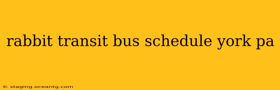 rabbit transit bus schedule york pa