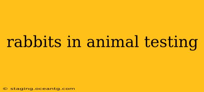 rabbits in animal testing