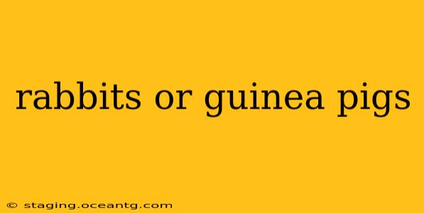 rabbits or guinea pigs