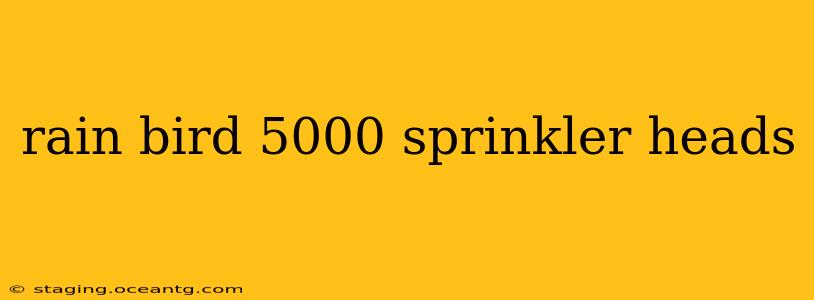 rain bird 5000 sprinkler heads