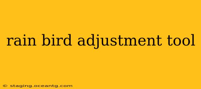 rain bird adjustment tool