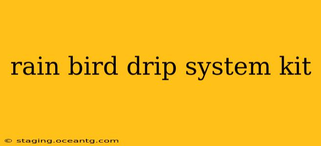 rain bird drip system kit