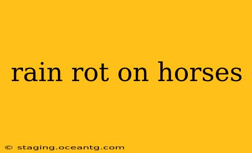 rain rot on horses