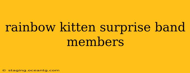 rainbow kitten surprise band members