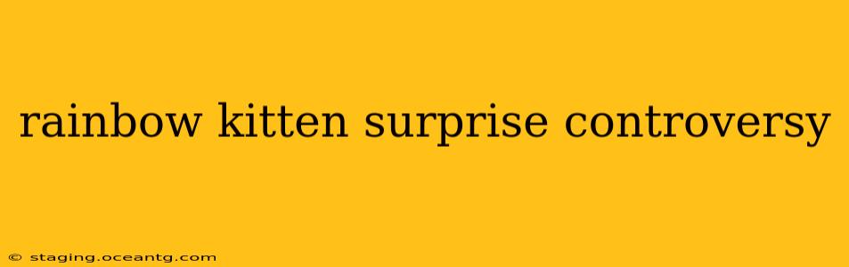 rainbow kitten surprise controversy