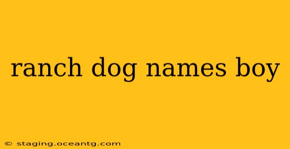 ranch dog names boy