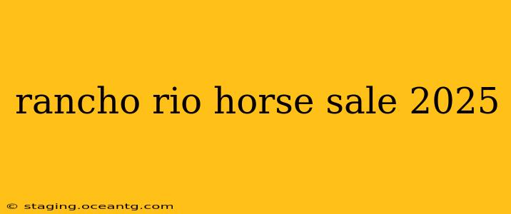 rancho rio horse sale 2025
