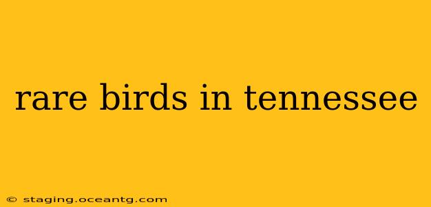rare birds in tennessee