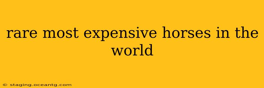 rare most expensive horses in the world