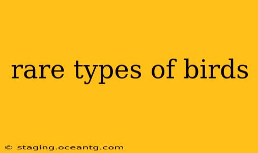 rare types of birds