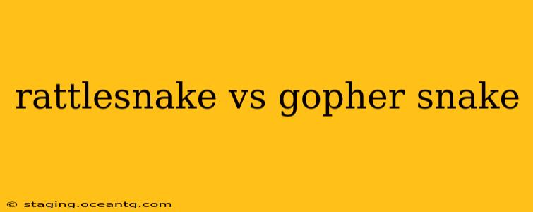 rattlesnake vs gopher snake