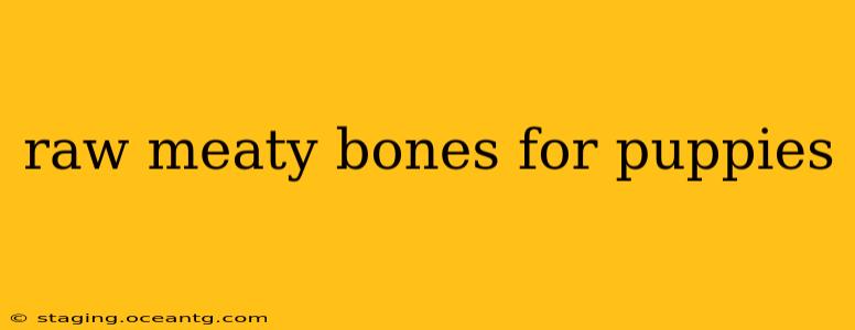 raw meaty bones for puppies