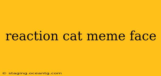 reaction cat meme face