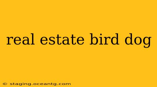 real estate bird dog
