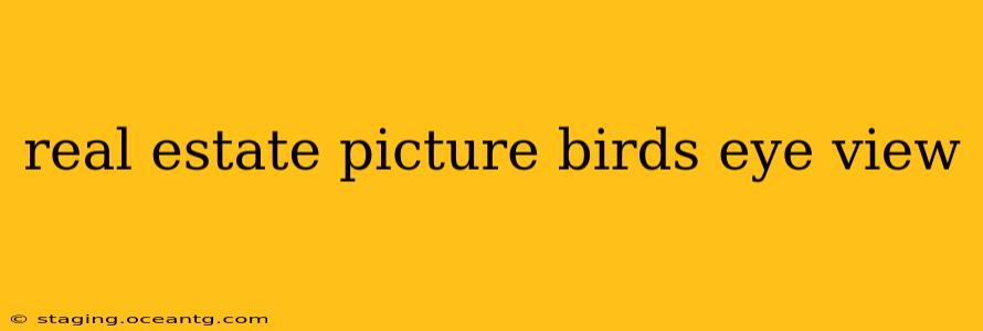 real estate picture birds eye view