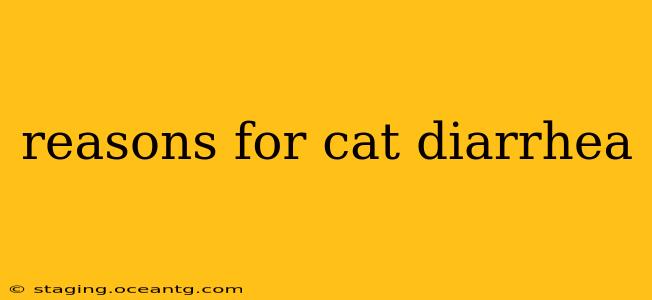 reasons for cat diarrhea