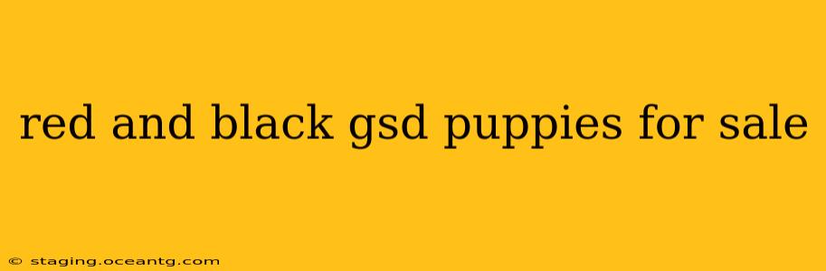 red and black gsd puppies for sale