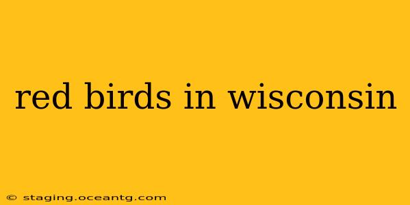 red birds in wisconsin