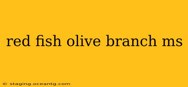 red fish olive branch ms