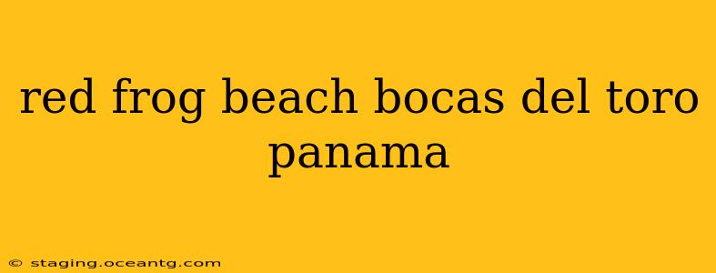 red frog beach bocas del toro panama