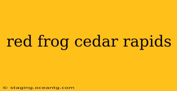 red frog cedar rapids