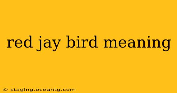 red jay bird meaning