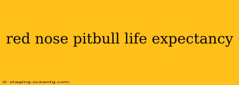 red nose pitbull life expectancy