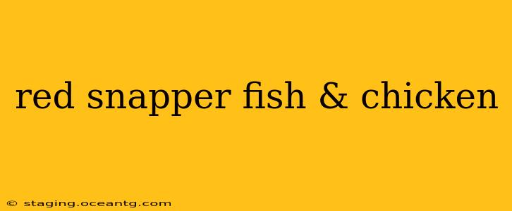 red snapper fish & chicken