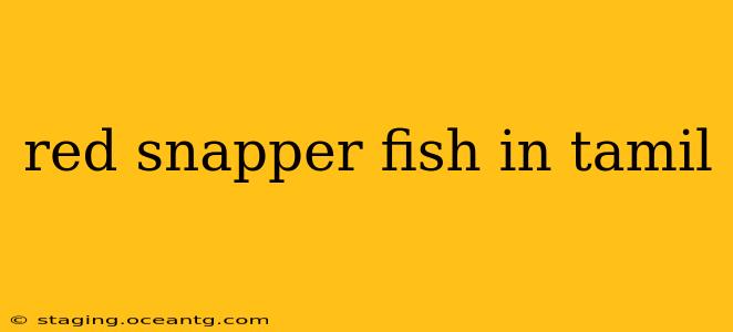 red snapper fish in tamil