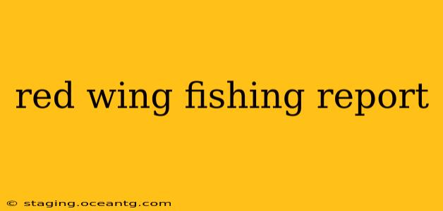 red wing fishing report