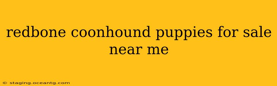 redbone coonhound puppies for sale near me