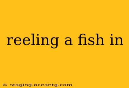 reeling a fish in