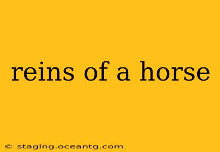 reins of a horse