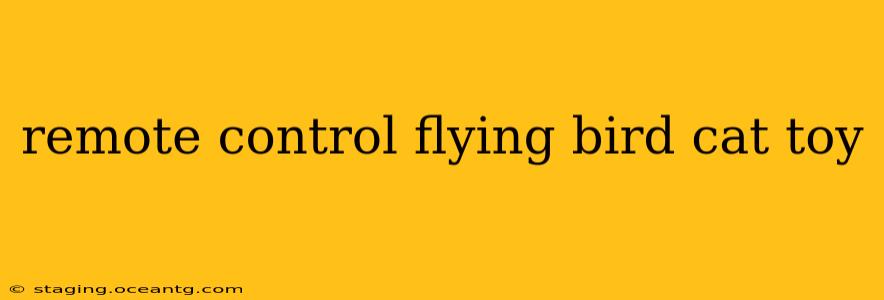 remote control flying bird cat toy