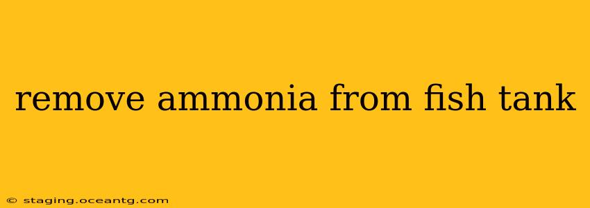 remove ammonia from fish tank