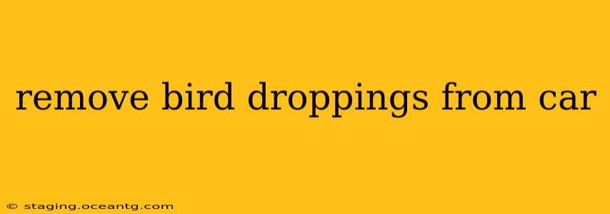 remove bird droppings from car